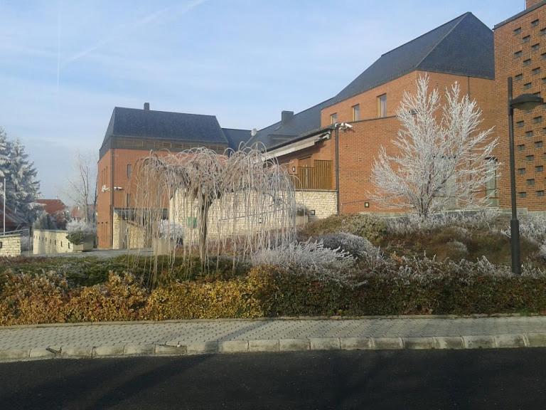 Park Vendeghaz Hotel Herend Luaran gambar